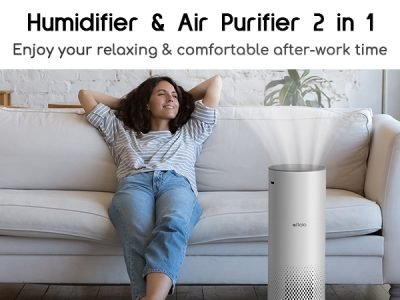 Humidifier & Air Purifier